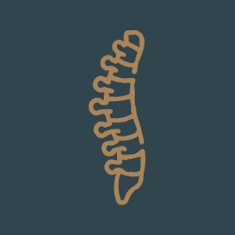 Ícone Cirurgia da Coluna