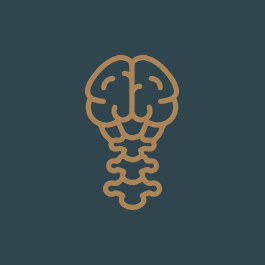 Ícone Cirurgia do Crânio