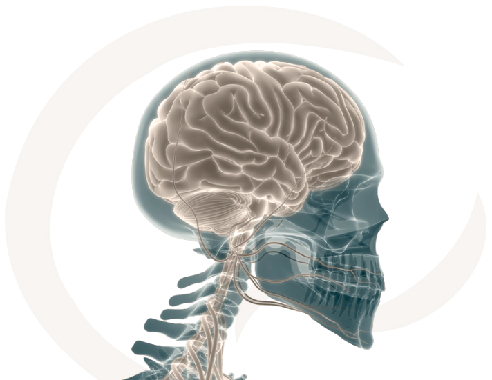 Imagem Neurocirurgia