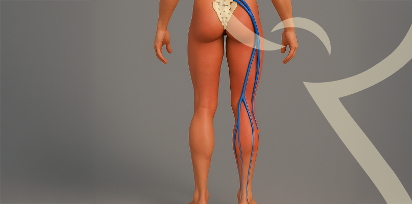 Imagem Infiltração Guiada por Ultrassom