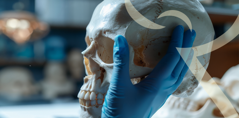 Imagem Infiltração Guiada por Ultrassom